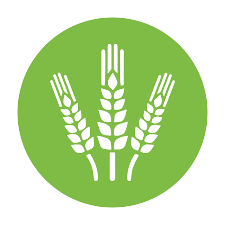 Report on Policies & Action plan for Secure & Sustainable Agri